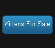 Kittens For Sale